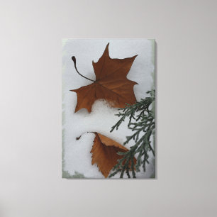 Maple leaves canvas print