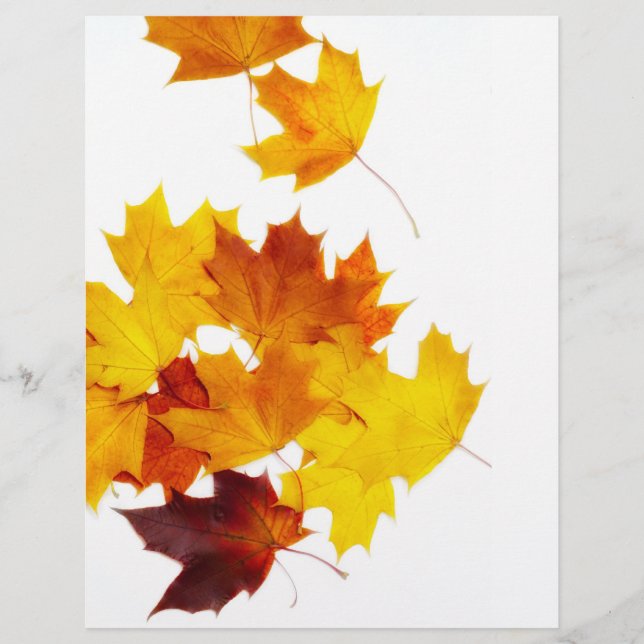 Maple leaves flyer (Front)