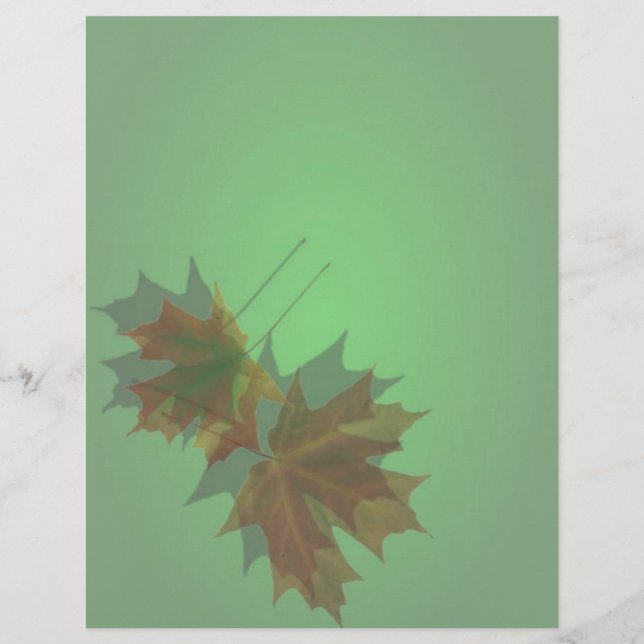 Maple Leaves Flyer (Front)