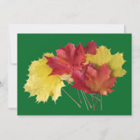 Maple Leaves