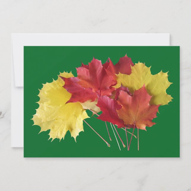 Maple Leaves Holiday Card (Front)