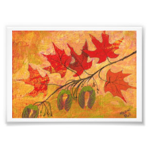 Maple Leaves Photo Print