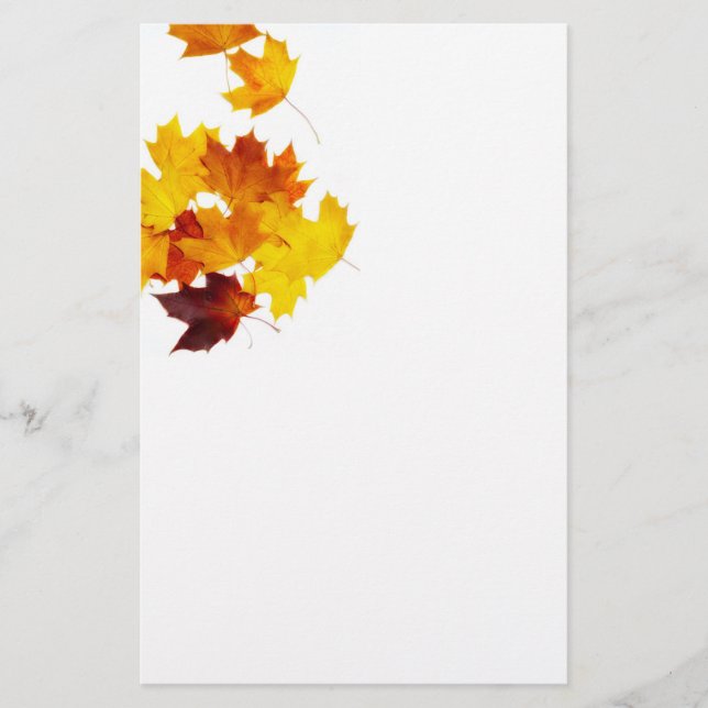 Maple leaves stationery (Front)
