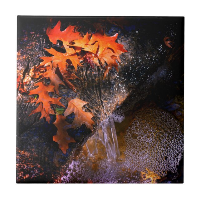 Maple Leaves Tile (Front)