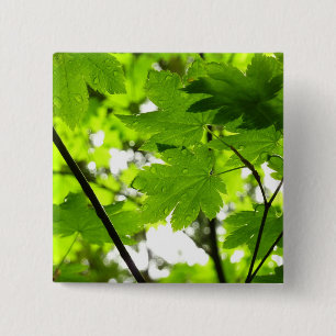 Maple Leaves with Raindrops 2 Inch Square Button