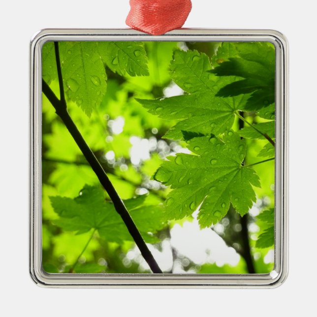 Maple Leaves with Raindrops Metal Ornament (Front)