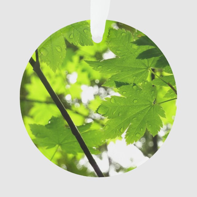 Maple Leaves with Raindrops Ornament (Front)