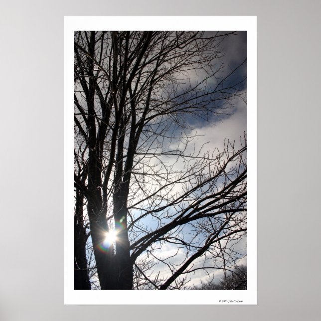 Maple Sky Poster (Front)