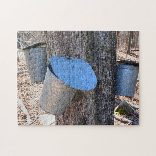 Maple Sugar Sap Buckets On Tree Nature Jigsaw Puzzle (Horizontal)