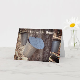 Maple Syrup Sap Buckets On Tree Birthday Card
