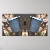 Maple Syrup Sugar Sap Bucket On Tree Abstract