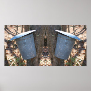 Maple Syrup Sugar Sap Bucket On Tree Abstract Poster