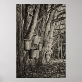 Maple Syrup Time Poster