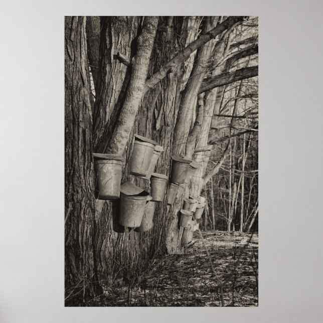 Maple Syrup Time Poster (Front)