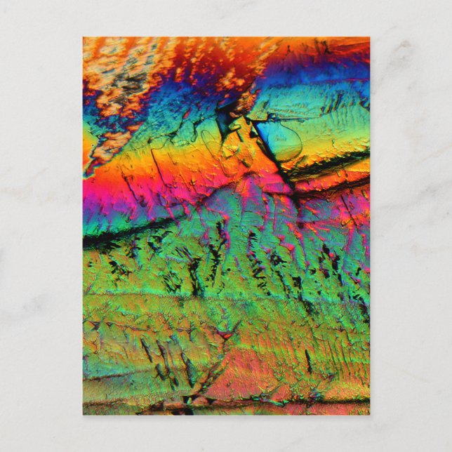 maple syrup under a microscope postcard (Front)