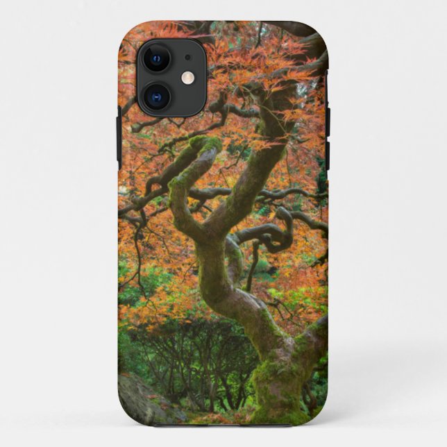 Maple Tree At The Japanese Gardens In Autumn Case-Mate iPhone Case (Back)