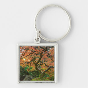 Maple Tree At The Japanese Gardens In Autumn Keychain