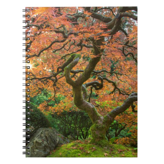 Maple Tree At The Japanese Gardens In Autumn Notebook (Front)