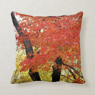 Maple Tree Autumn Throw Pillow