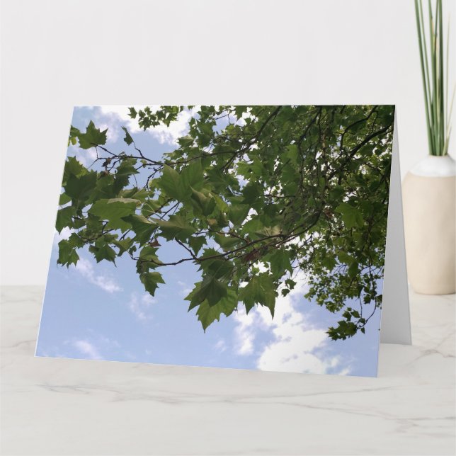 Maple tree card (Front)