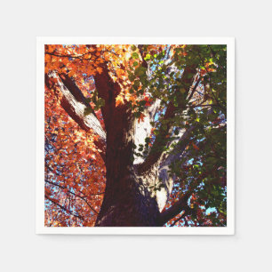 Maple tree forest leaves autumn botanical napkin