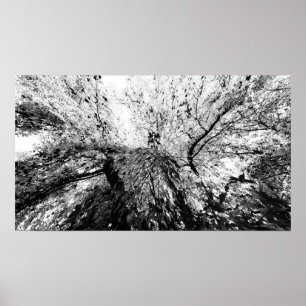 Maple Tree Inkblot Photograph Poster