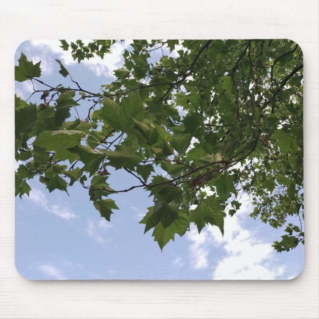 Maple tree  mouse pad (Front)
