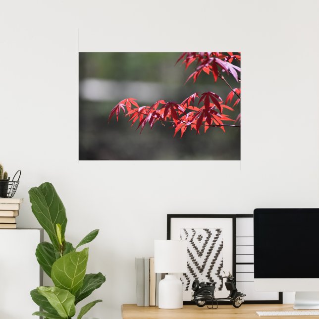 Maple Tree,  Poster (Home Office)