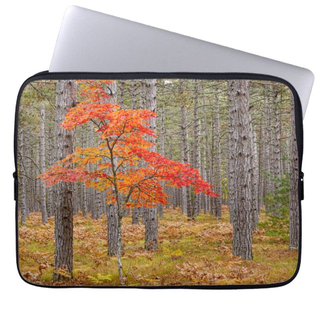 Maple Tree with Autumn Colours Laptop Sleeve (Front)