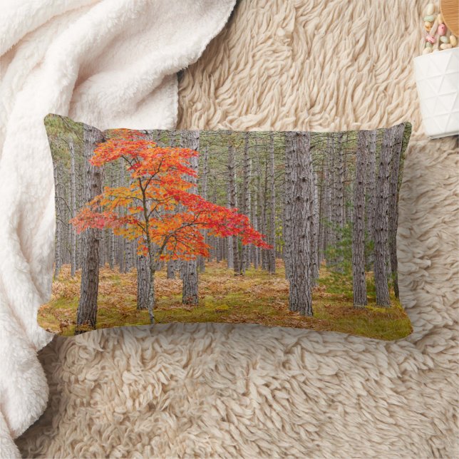Maple Tree with Autumn Colours Lumbar Pillow (Blanket)