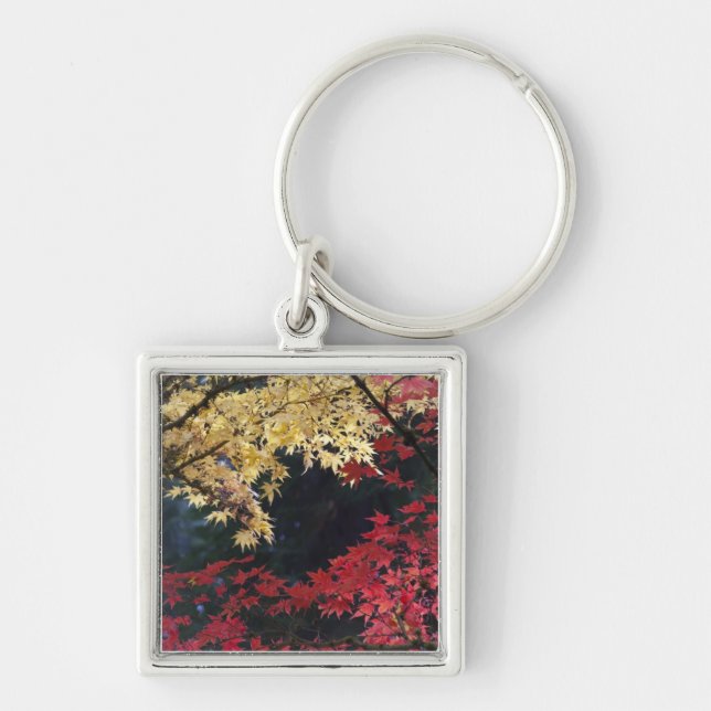 Maple trees in autumn colour keychain (Front)