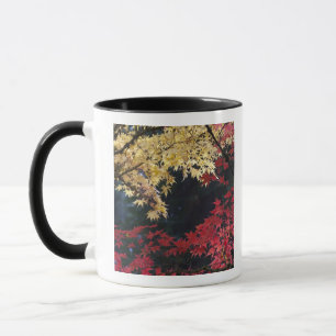Maple trees in autumn colour mug