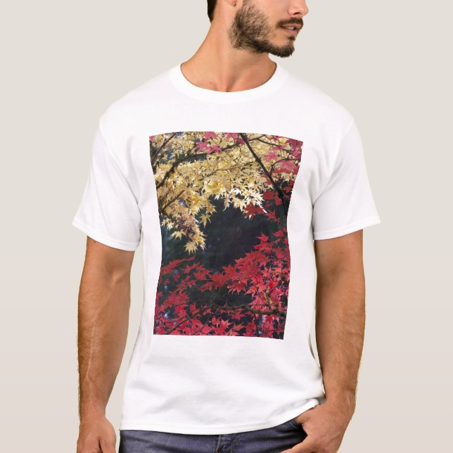 Maple trees in autumn colour T-Shirt (Front)