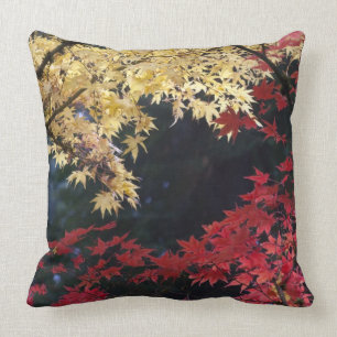 Maple trees in autumn colour throw pillow