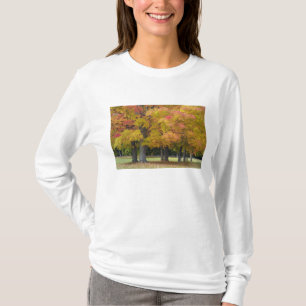 Maple trees in autumn colours, near Concord, T-Shirt