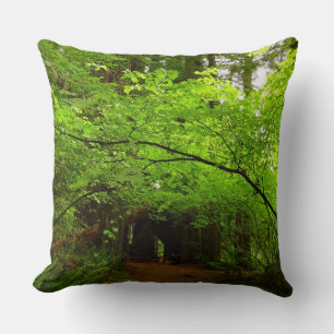 Maple Trees in Redwood Forest Throw Pillow