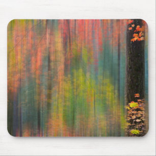 Maple Trees Silver Falls State Park Mouse Pad