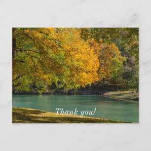 Maple Umbrella Over Dogwood Creek Postcard