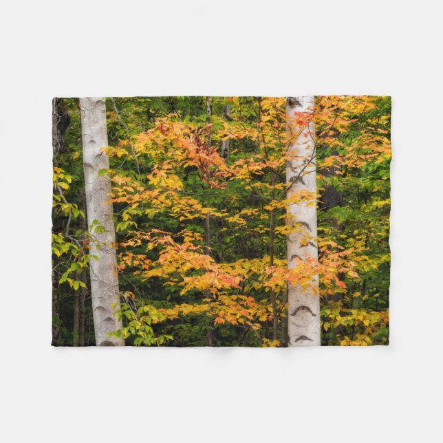 Maple & White Birch | White Mountains, NH Fleece Blanket (Front (Horizontal))