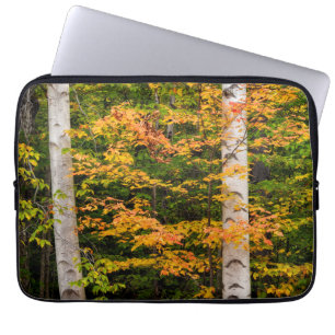 Maple & White Birch White Mountains, NH Laptop Sleeve