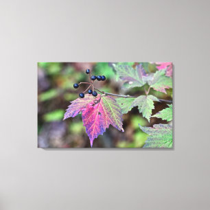 Mapleleaf Viburnum Autumn Leaves and Berries Canvas Print