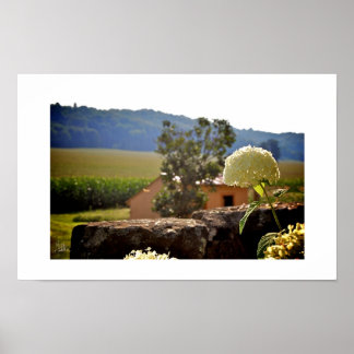 Maplewood Farm [Art Print] Poster
