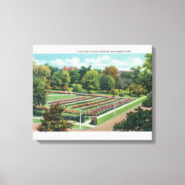 Maplewood Park Rose Garden View Canvas Print (Front)