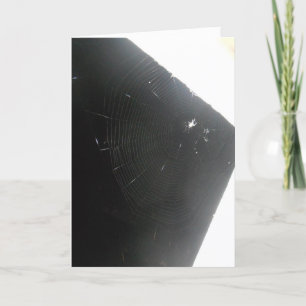 "Maplewood Spider" Get Well Card