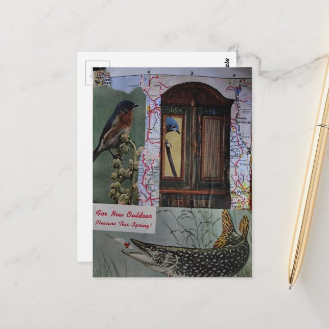 Maps with Birds and Fish Retro Collage Postcard (Front/Back In Situ)