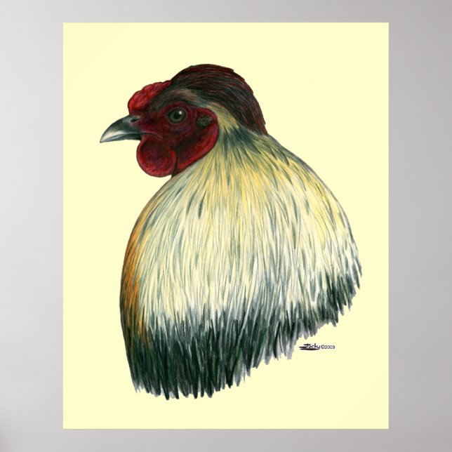 Mapuche Huastec Rooster Poster (Front)