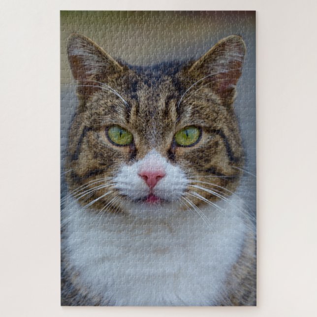 maquereau tabby puzzle (Vertical)