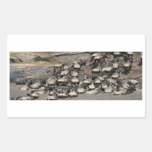 mara wilde beest sticker