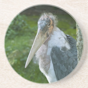 Marabou Coaster