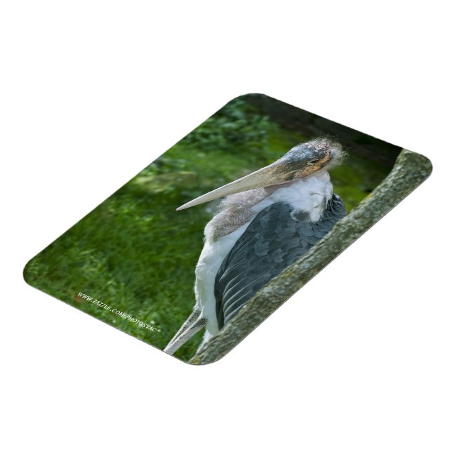 Marabou Magnet (Left Side)